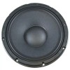 Blastking Blast12Pro 12" 1200 Watts Professional Low Frequency Transducer