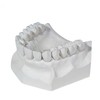 3 LB - White Dental Lab Plaster for Dental Cast