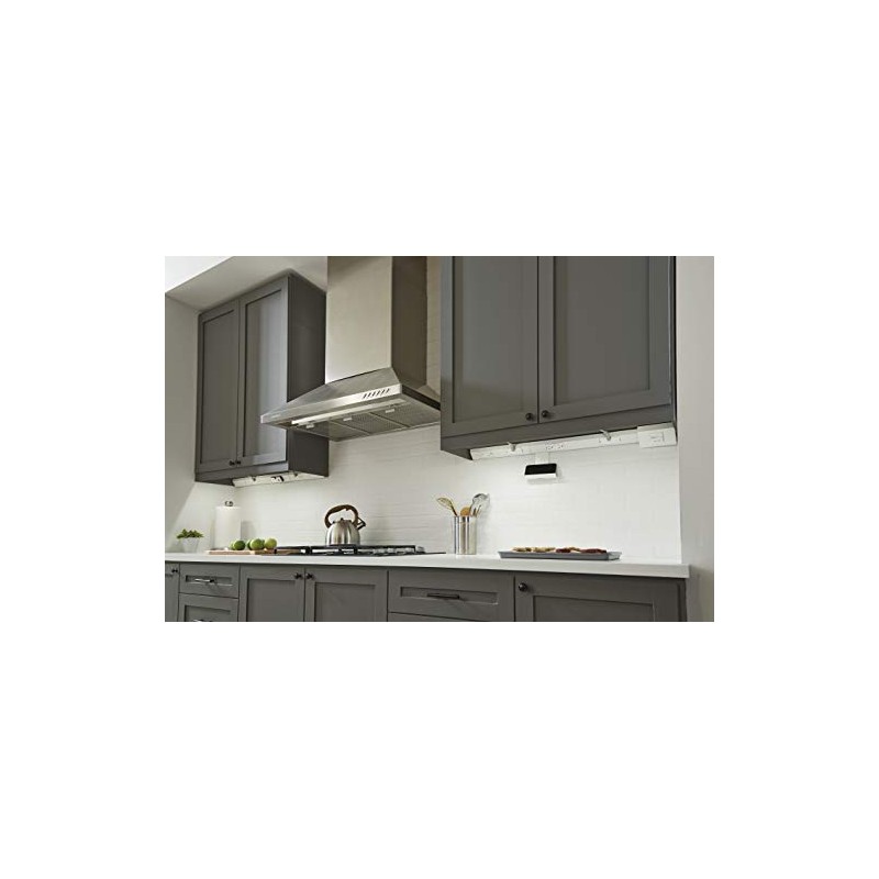 Legrand adorne Under-Cabinet USB Outlet Module in White, APUSB3W4