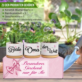 Best Grandma in the World Flower Pots - Gifts for Grandma for Birthday, Mother's Day, Christmas from Granddaughter and Grandson