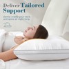 viewstar Pillows Queen Size Set of 2, Hotel Quality, Down