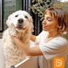 Dogtopia 3-in-1 Paw Balm & Deodorizer Spray - Between Baths
