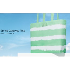 Clinique x Drawbertson Green & White Shopping Tote Bag NWT