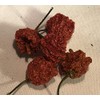 Dragon's Breath Ultra Hot Pepper Dried Whole Pods 5 Pack