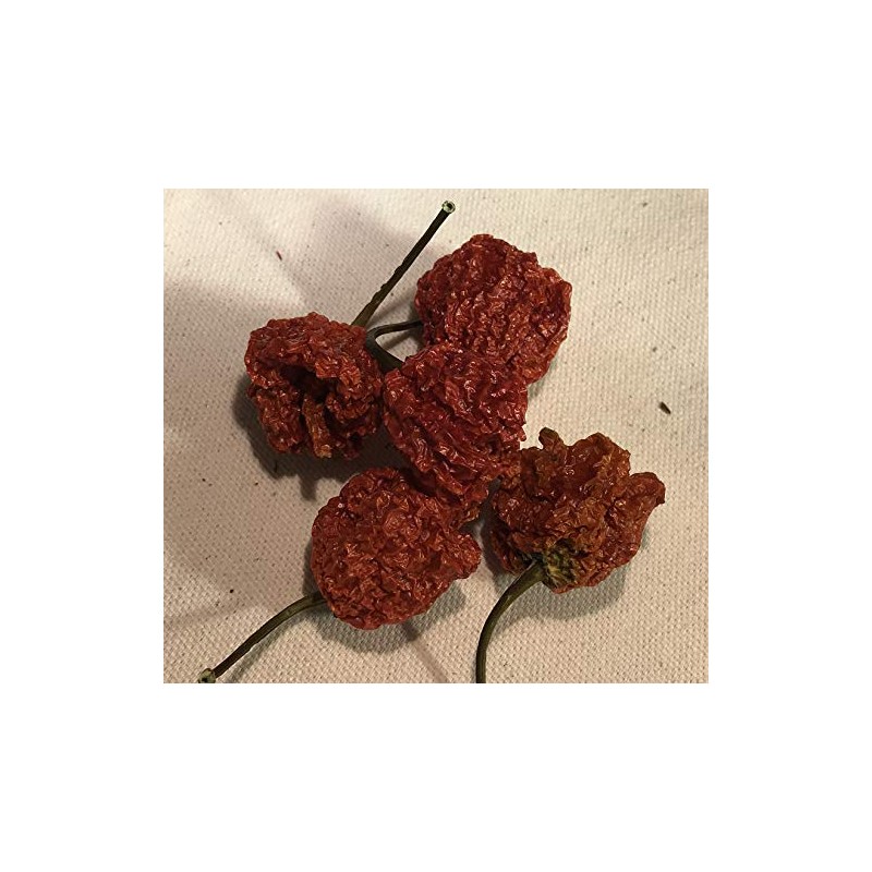 Dragon's Breath Ultra Hot Pepper Dried Whole Pods 5 Pack