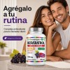 Resveratrol Gold 200 Cápsulas Suplemento Antioxidante Transresveratrol Complejo Antioxidantes Polifenoles