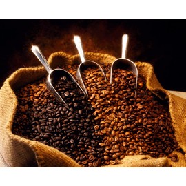 Nicaragua SHG Ep Fancy Finca La Rubia Coffee Beans (Medium Roast (Full City +), 5 pounds Whole Beans)