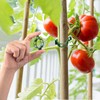 Pack of 250 Plastic Tomato Clips, Tomato Clips, Connecting Plant