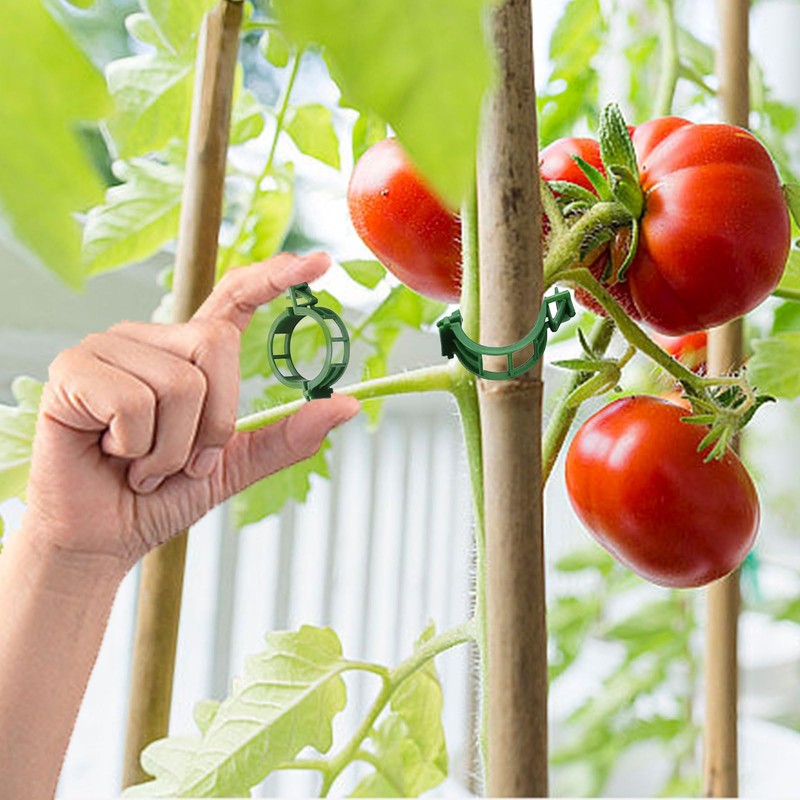 Pack of 250 Plastic Tomato Clips, Tomato Clips, Connecting Plant