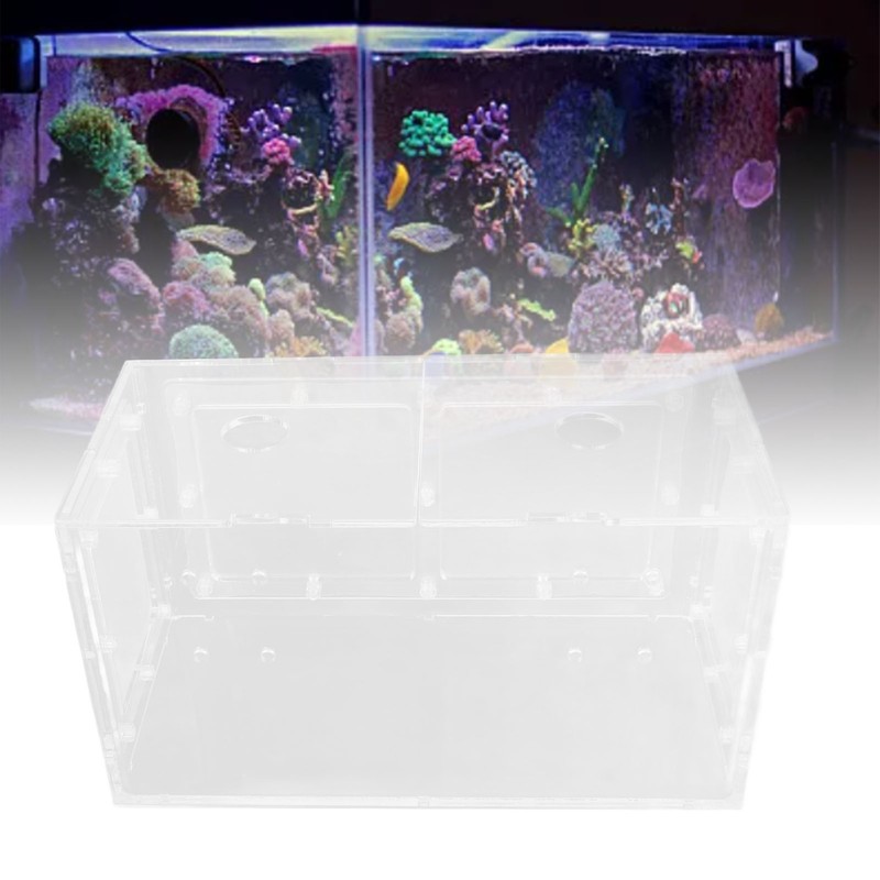 Fish Breeding Isolation Box Transparent Mesh Side Fish Tank Incubator