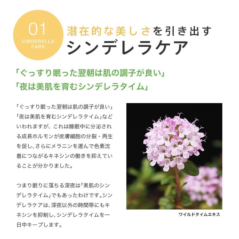 Pambesch Skin Concentrate Wrinkle and Sagging Essence