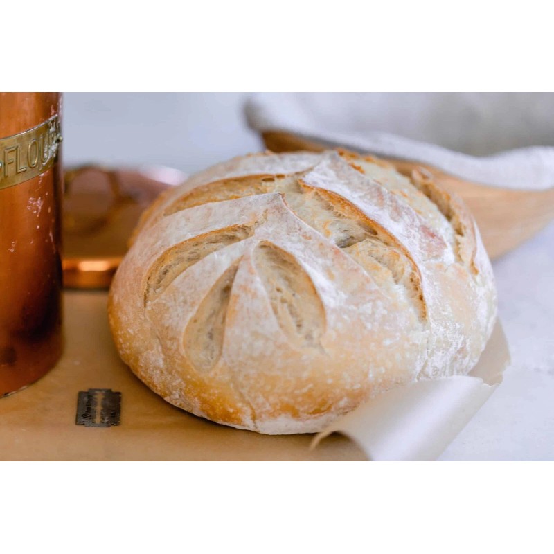 Heritage Sourdough Dehydrated Sourdough Starter Sour 125+ Yrs Old San