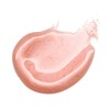 essence pearly POTION MULTI-REFLECTIVE LIPGLOSS, shiny, shimmery, holographic, translucent (2.5ml)