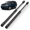 ARANA Liftgate Struts for Ford Expedition 2003-2017, Rear Hatch Lift