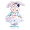 Teddy Bear Mail Order Alice Stellaroo Clothes Changing Costume with