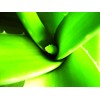 So Bio Etic Crema 5 En 1 Dermo Defense -
