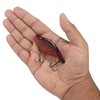 Berkley Warpig Fishing Lure, Ghost Red Craw, 1/2 oz, 3in