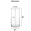 CYS Excel Clear Glass Cylinder Vase (H:9" D:4") Flower Vase