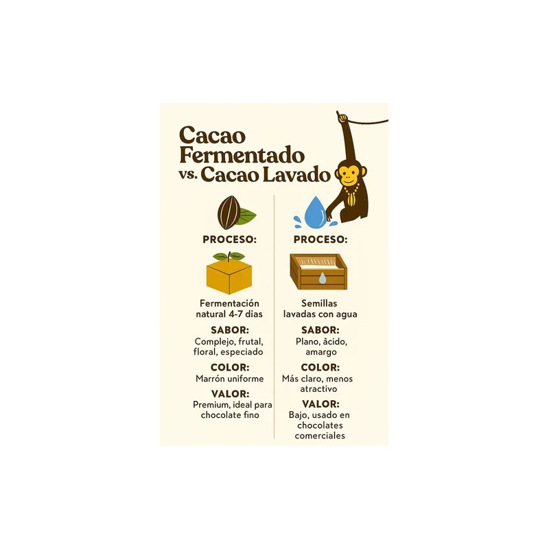 Semilla Grano De Cacao Criollo Premium Crudo 1kg Chiapas