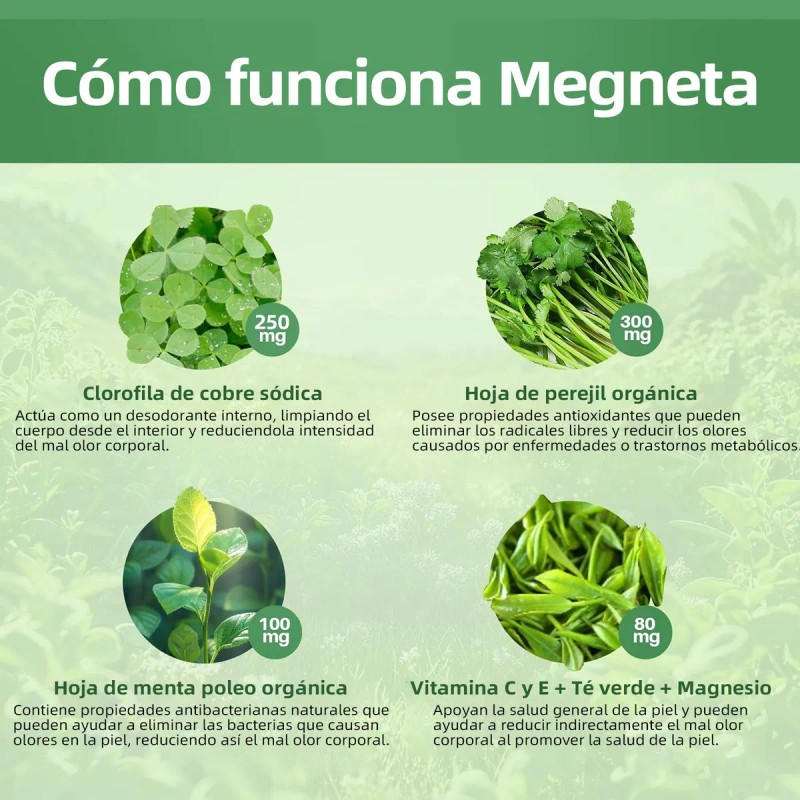 7 In 1 Puro Natural Clorofila Desodorizacin 60 Cpsulas Sin