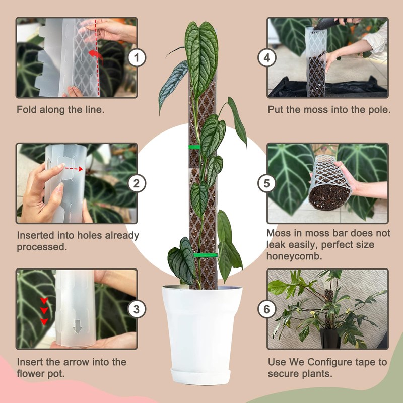 Sisher 6Pcs Plastic Moss Pole D Shape Moss Pole 16