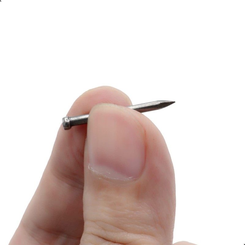 100pcs Finishing Nails Hand-Drive Hardware Carbon Steel Nail 25mm 1-inches