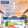 DINGLILIGHTING Ceiling Fans with Lights and APP: Flush Mount Low
