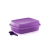 Tupperware Large Season Serve Marinating Container with Mini Sifter in