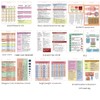 EMT Badge Card, EMS Reference, Paramedic Vertical Pocket Card -