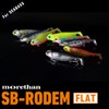 DAIWA SB-Rodem Flat for Seabass Jig Head + Worm 1.1