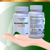 HALLUSA NATURAL Chancapiedra Ultra - Kidney Support Supplement - Natural