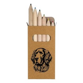 Azeeda 6 x 'Irish Setter' Short 85mm Pencils/Coloured Pencil Set (PE00067472)