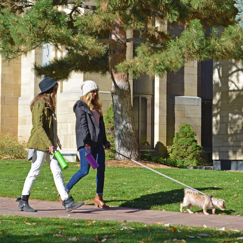 EcoVessel 's Boulder Tri Max Vacuum Insulated Stainless Steel Water