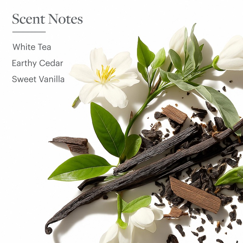 Westin White Tea Candle in a Tin - Hand-Poured, Soy