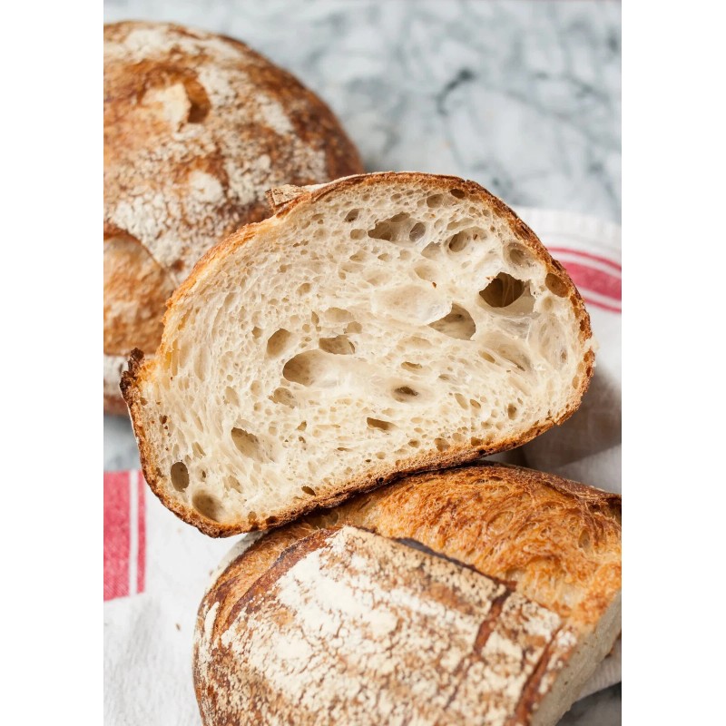 Heritage Sour SOURDOUGH STARTER DEHYDRATED 3rd Generation ITALIAN - 15