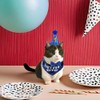 Cat Birthday Party Cat Birthday Party Supplies Cat Kitten Bandanas,