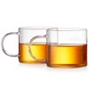 DOPUDO Glass Teacups 250ml Set of 2 Borosilicate