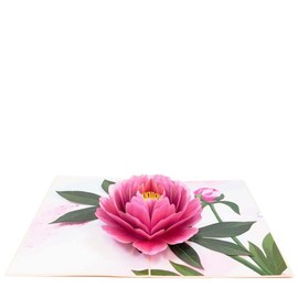 POP CARD EXPRESS Peony Flower Pop Up Card - Birthday, Retirement, Graduations, Thank You and Celebrations for Mom, Her, Girl, Wife