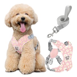 Pawaboo Dog Harness with Dog Lead Set, X-Frame Adjustable Anti-Pull Anti-Choking Dog Chest Harness for Small, Medium Dogs & Puppies, Dog Vest with Lead, M, Pink Daisy