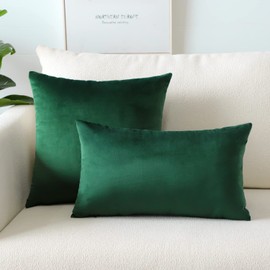 Artscope Luxury Velvet Pillow Covers Super Soft Decorative Rectangle Throw Pillow Covers Case Cushion Covers for Sofa Couch Bedroom Car Decor 16x24 Inch Army Green