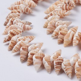 Boutigem Natural Spiral Beads Ocean Shell Beads Strands for Jewellery Making DIY Summer Beach Bracelet Necklace Earring Craft Decor