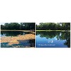 SeClear Algaecide and Water Quality Enhancer 1 Gallon EPA-Approved Dual-Purpose