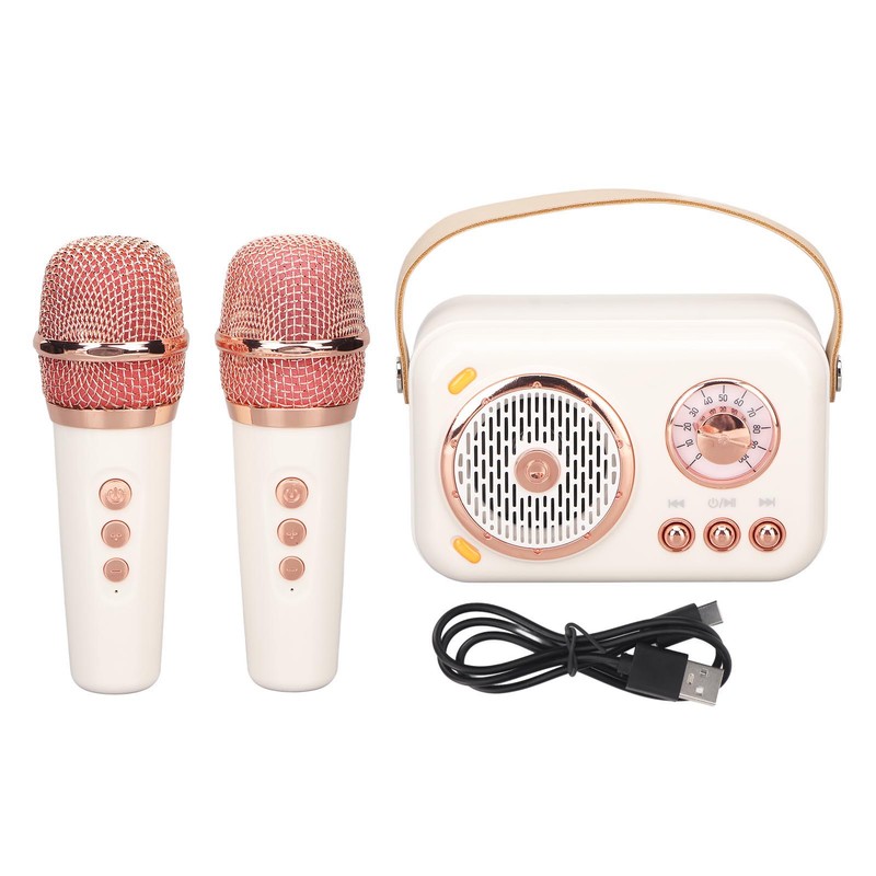 Karaoke Machine Multifunction Enhanced Bass 6 Modes Portable Bluetooth PA