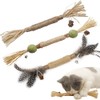 PAZ'S GIFT Cat Toys Natural Cat Chew Toys Set with