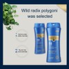 Silicone Free Shampoo Anti Dangdruff Shampoo Oil Control Shampoo for