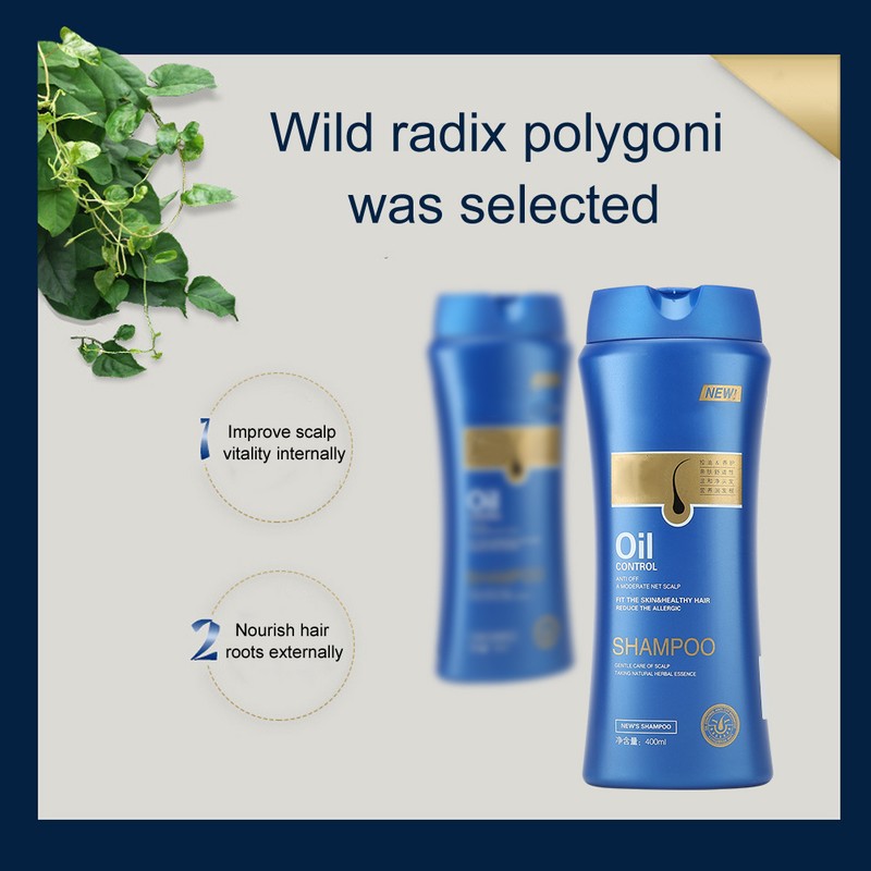 Silicone Free Shampoo Anti Dangdruff Shampoo Oil Control Shampoo for