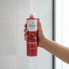 Arándano Shampoo Corporal Shelo Nabel® 530ml