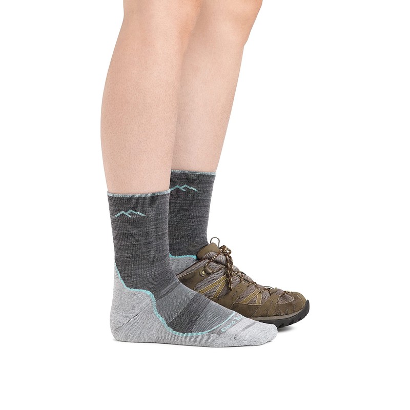 Darn Tough Women's Micro Crew Lite Cushion Socks