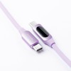 MyVolts Step Up USB-C to USB-C PD Cable with LCD