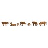 NOCH 18216 Animals Cows, Brown, Colourful, S